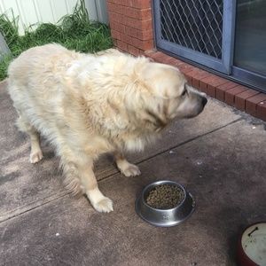 Meet your Posher, Maro